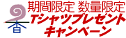 T�V���c�v���[���g